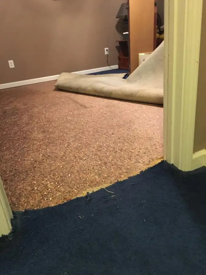 Carpet pad removal revealing water damage during Drying & Dehumidification in Waseca